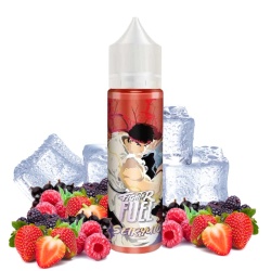 Flacon e-liquide Seiryuto Fighter Fuel 50ml