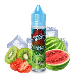 E-liquide Kanzi Iced Twelve Monkeys 50 ml