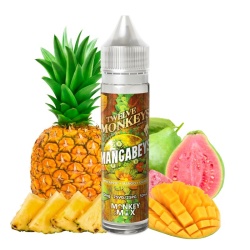 E-liquide Mangabeys Twelve Monkeys 50 ml