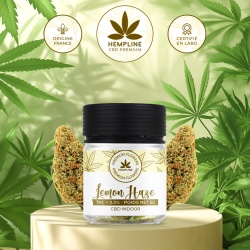 Fleur de CBD Lemon Haze Hempline 5g