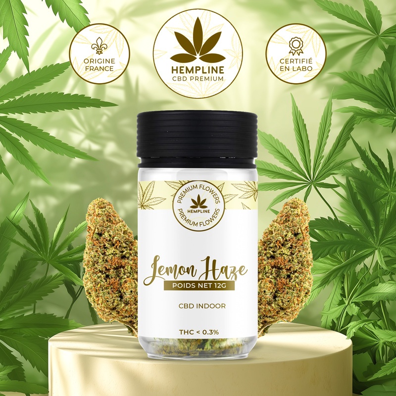 Fleur de CBD Lemon Haze Hempline 12g