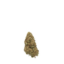 Fleur de CBD Orange Buds Hempline 5g