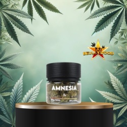 Fleur de CBD Amnesia Beullywood 5g