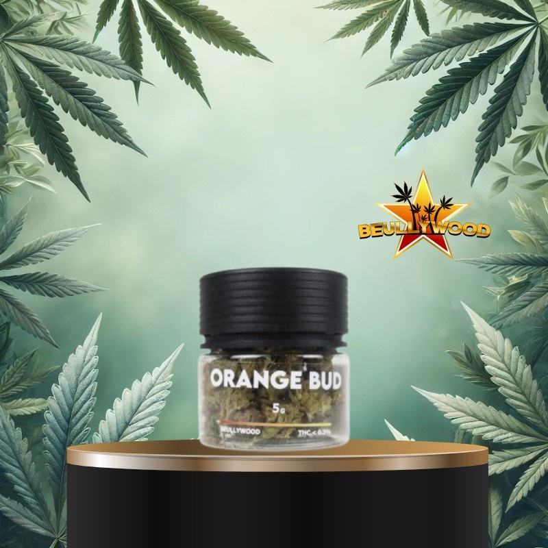 Fleur de CBD Orange Bud Beullywood 5g