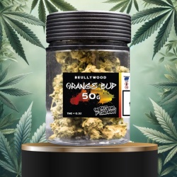 Fleur de CBD Orange Bud Beullywood 50g