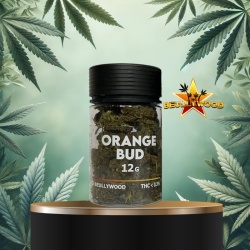 Fleur de CBD Orange Bud Beullywood 12g