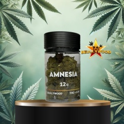 Fleur de CBD Amnesia Beullywood 12g