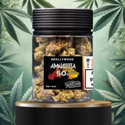 Fleur de CBD Amnesia Beullywood 50g