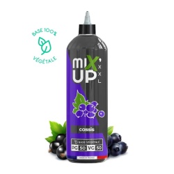 Bouteille e-liquide Cassis MIX’UP XXL en format 1L